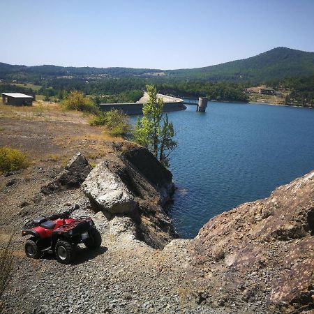 "Porodica Markovic" Borsko Jezero Beljevina 외부 사진