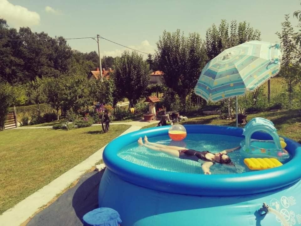 "Porodica Markovic" Borsko Jezero Beljevina 외부 사진